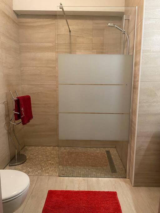 Charmant Appartement Renove Au Coeur Du Village Saint-Martin-Vésubie Esterno foto